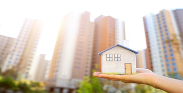 Ȱ���̹���